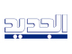 تلفزيون الجديد