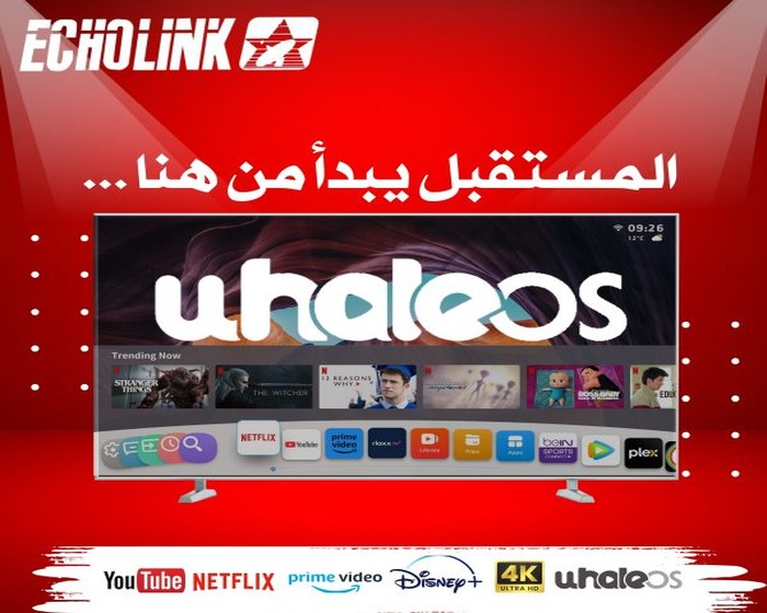 ECHOLINK TV 50″ 4K WHALE OS photo 3